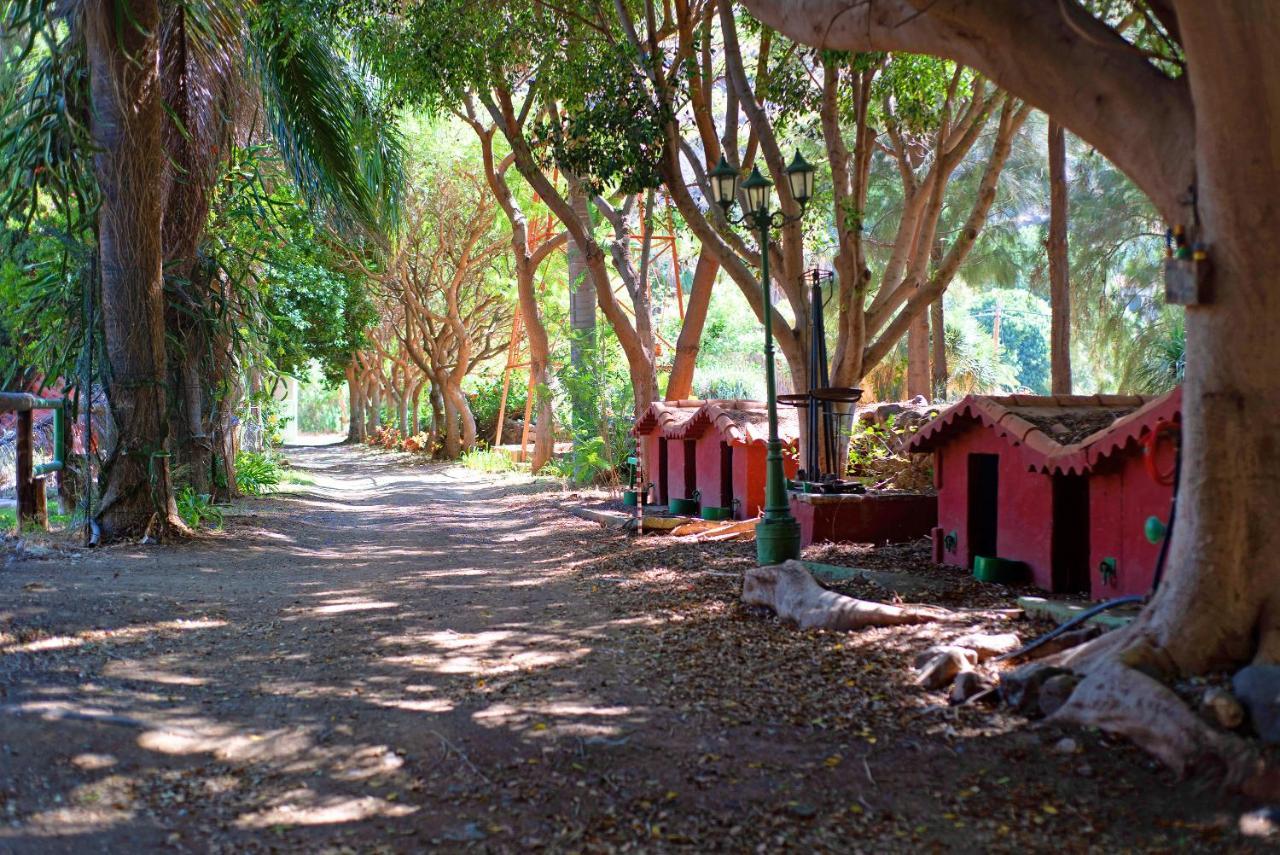 La Casa Del Molino De Viento Villa Agaete  Exterior photo